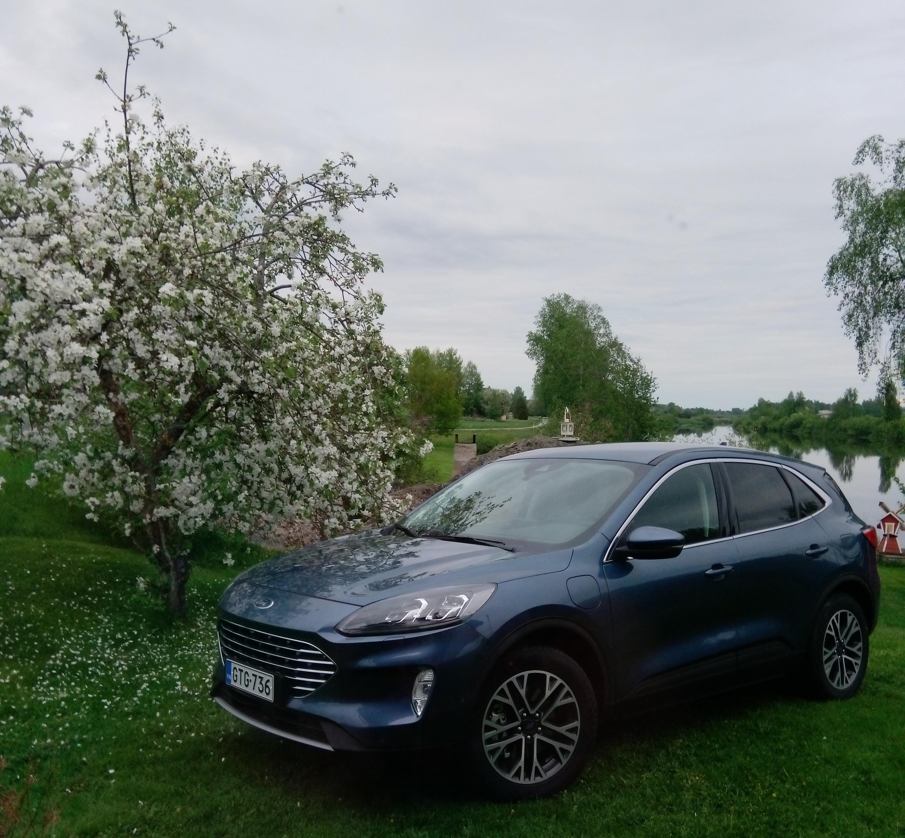 Ford Kuga PHEV Titanium summer picture